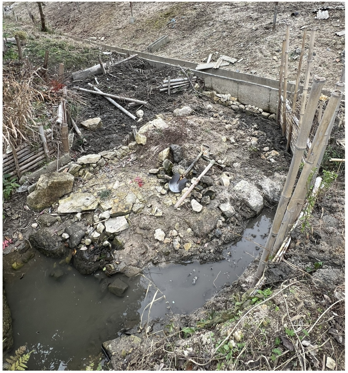 神社の整備 － イノシシ師匠からのダメ出し