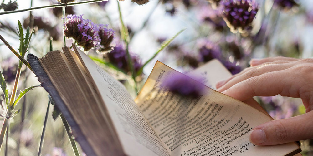 「未来屋書店」100人の作家が教えてくれる読書の本質について