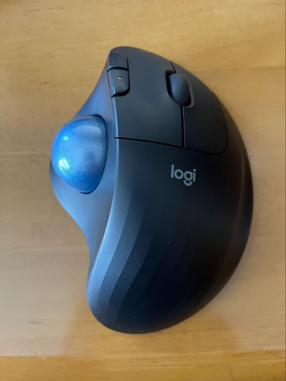 ラージボール卓球　～2025年度ラージボール卓球選手権大会（年齢別シングルス）