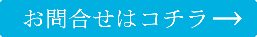 seoマスターProfessionalに関するお問合せはコチラ